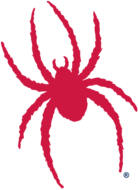 Richmond Spiders 2002-Pres Alternate Logo diy fabric transfer